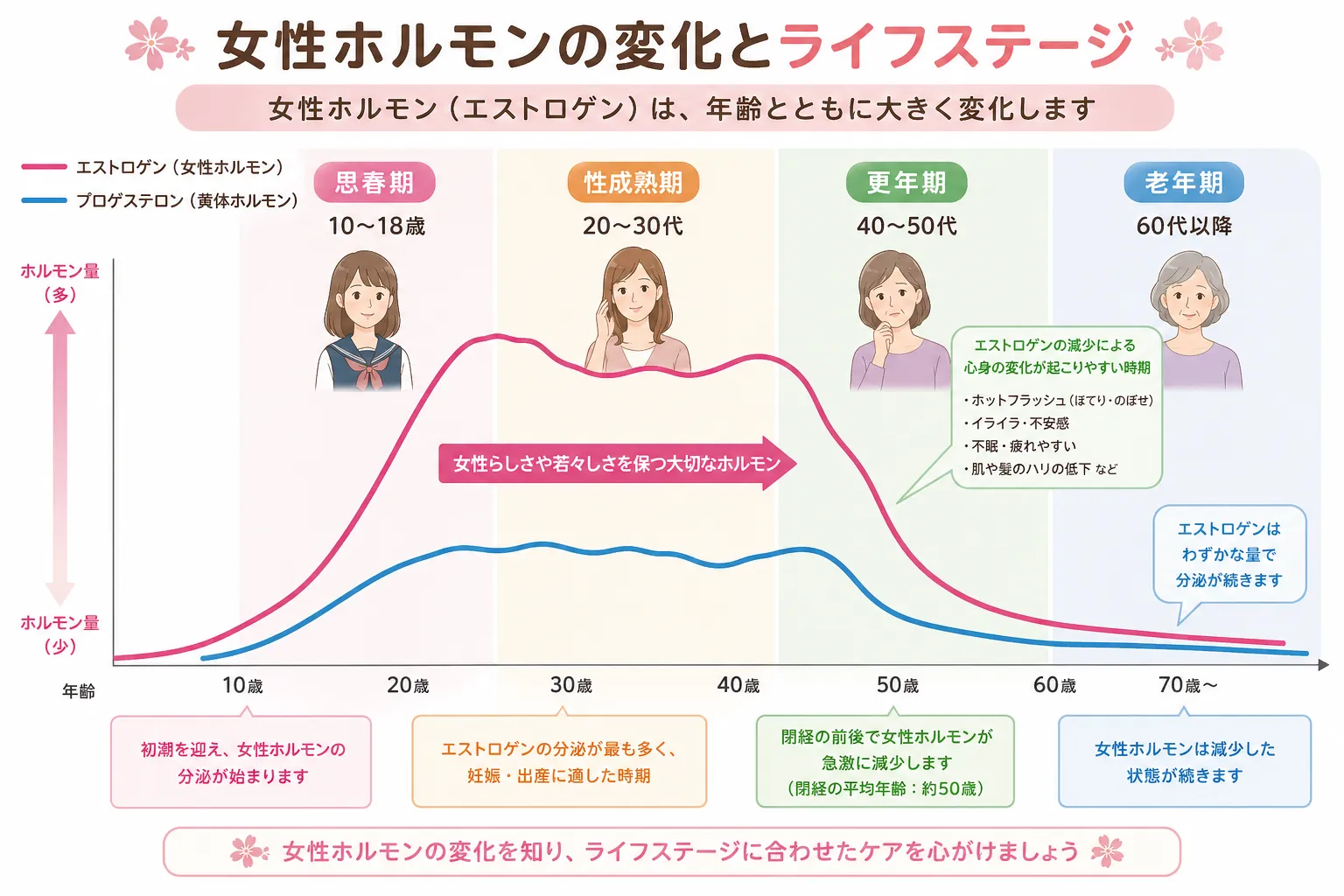 エストロゲンは年齢とともに減少⚡減少して女性の体に与える影響とは？？